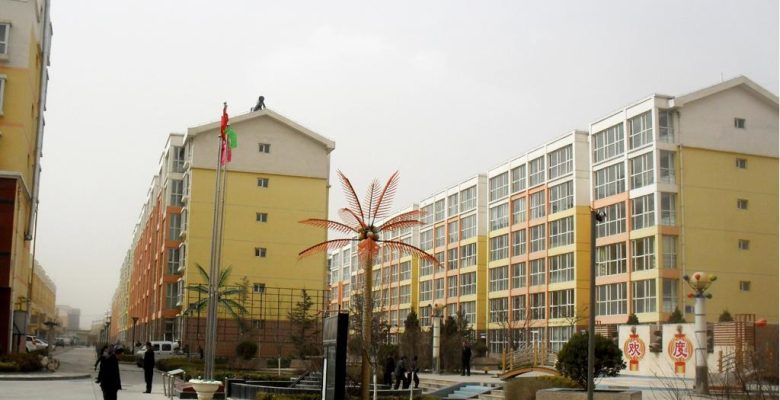 青海在水一方710